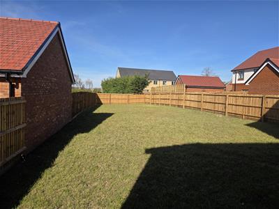 Picture 22